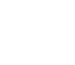 American Motors Logo