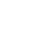Holden Logo