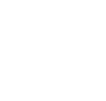Polestar Logo